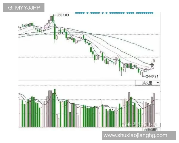 成都与武汉排球队赛后技术分析与战术复盘探讨